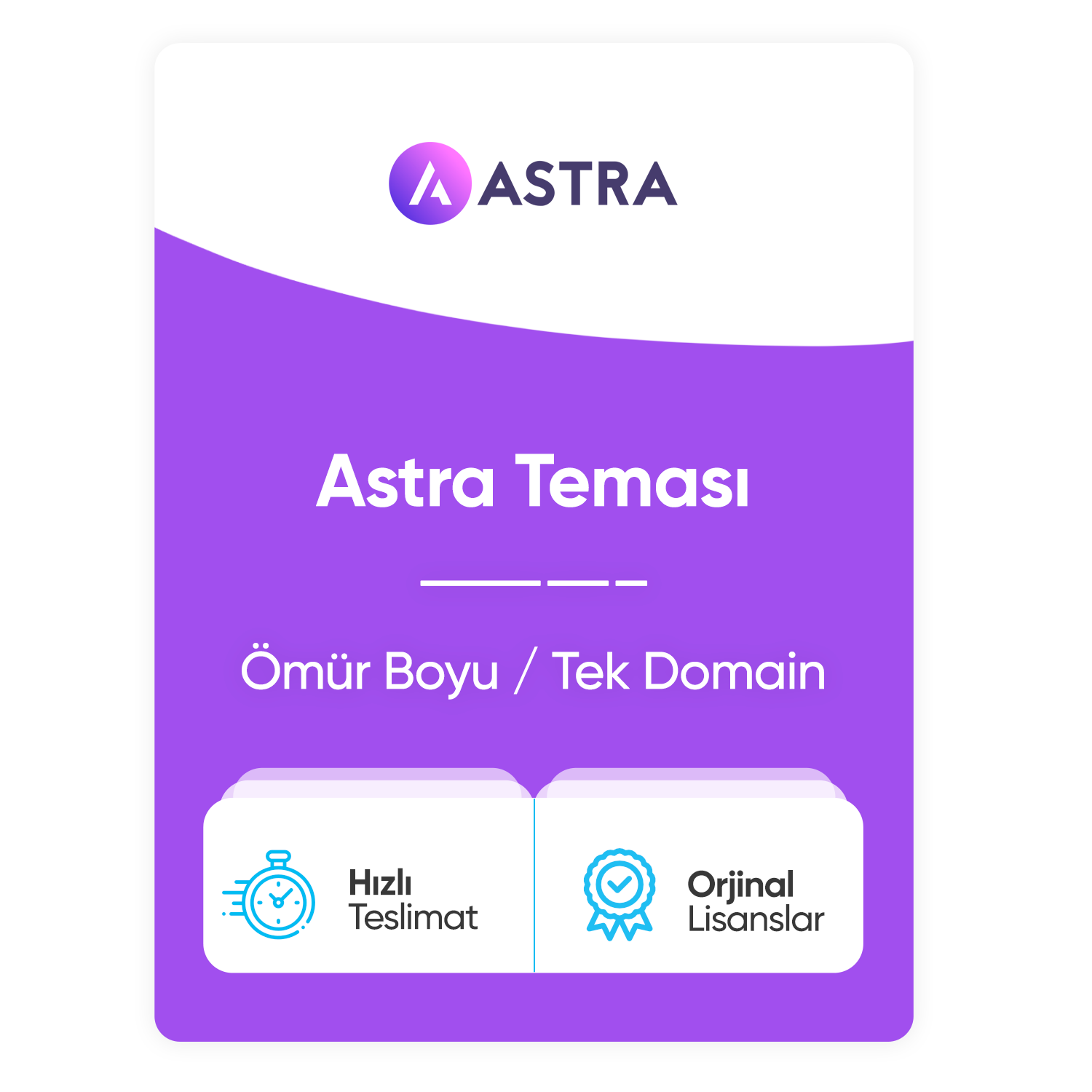 Astra WP Teması